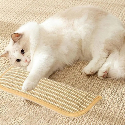 Cat Scratching Pillow Durable Scratching Surface Soft Cat Pillow